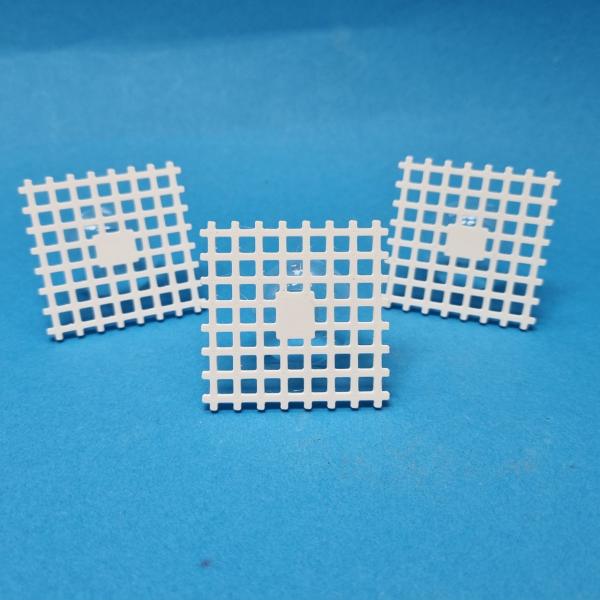 Moosgitter, Moos, Aquascaping, Spiky Moos, Creeping, Javafarn, Java Moos, Bucephelandra, Moosgitter, Gitter, Netz, Moosnetz